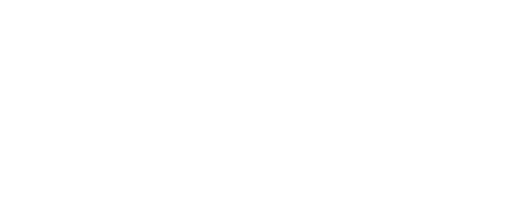 Google Review